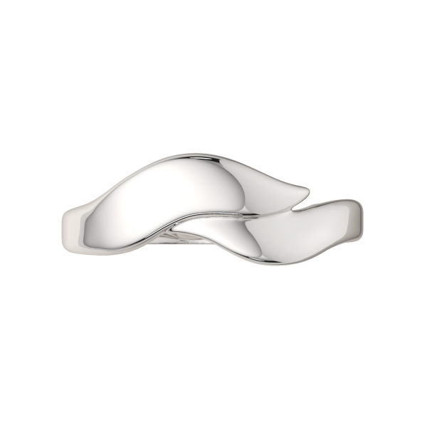 Кольцо 0200282.ZZ