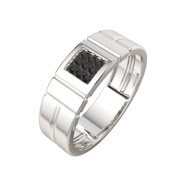 Кольцо 02101162.ZZ