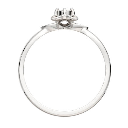 Кольцо 02D0077.ZZ