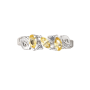 Кольцо 02S70161.ZZ