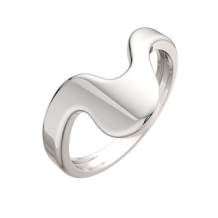 Кольцо 0200300.ZZ