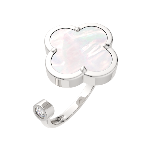 Кольцо 02G08170.ZZ