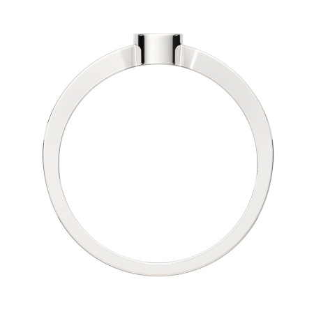 Кольцо 0210834.ZZ