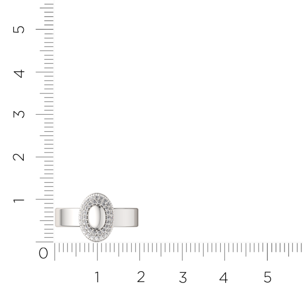 Кольцо 0210869.ZZ