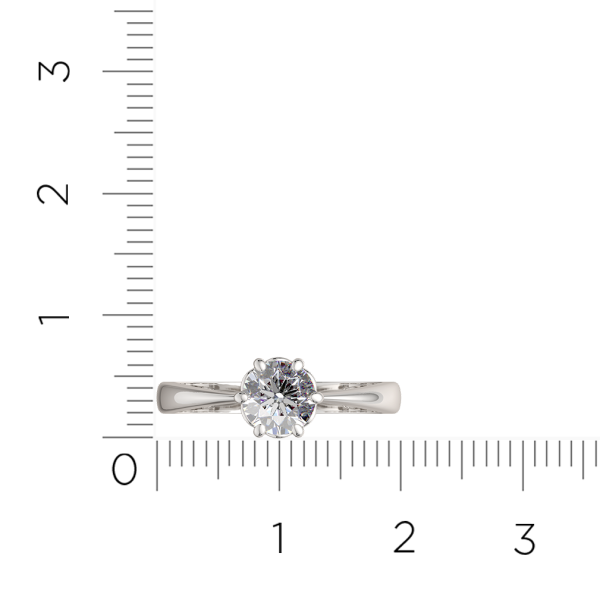 Кольцо 0210891.ZZ