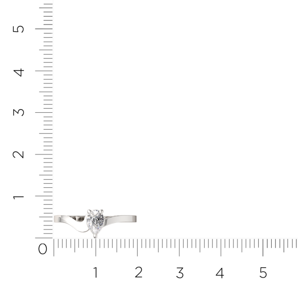 Кольцо 0210781.ZZ