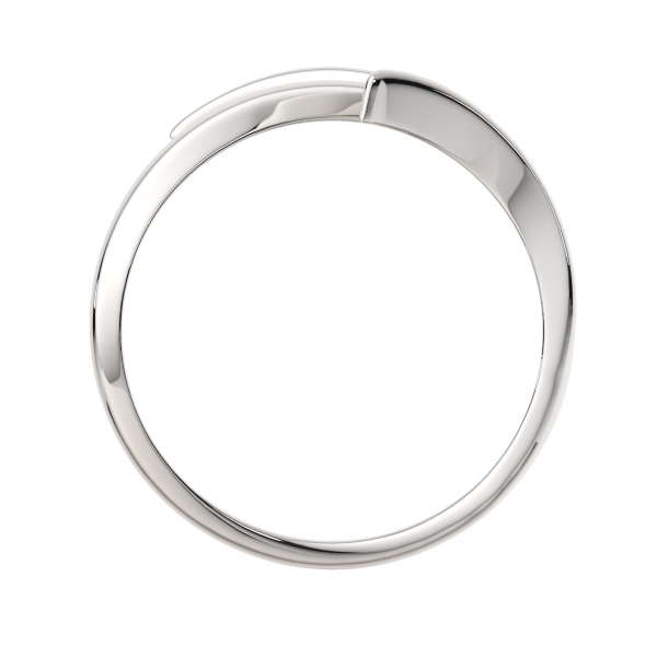 Кольцо 0200211.ZZ