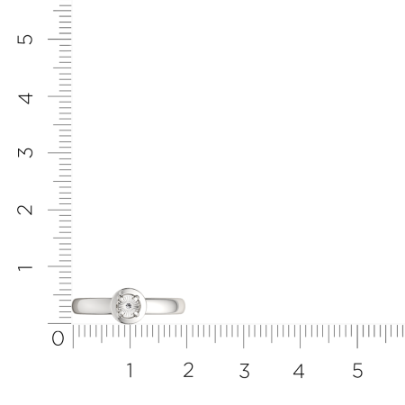 Кольцо 02D0066.ZZ