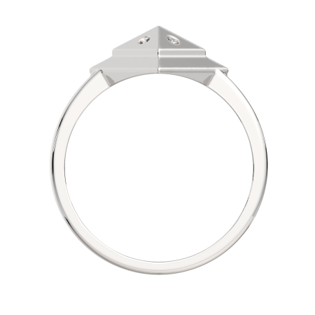 Кольцо 02101067.ZZ