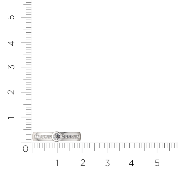 Кольцо 0210879.ZZ