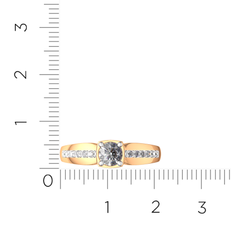 Кольцо 2101317.14K.R.ZZ