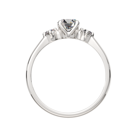 Кольцо 02101079.ZZ