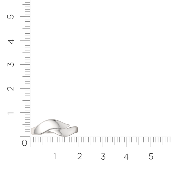 Кольцо 0200282.ZZ