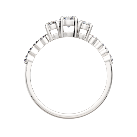 Кольцо 02101407.ZZ