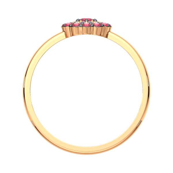 Кольцо 2D30205.14K.R.ZZ