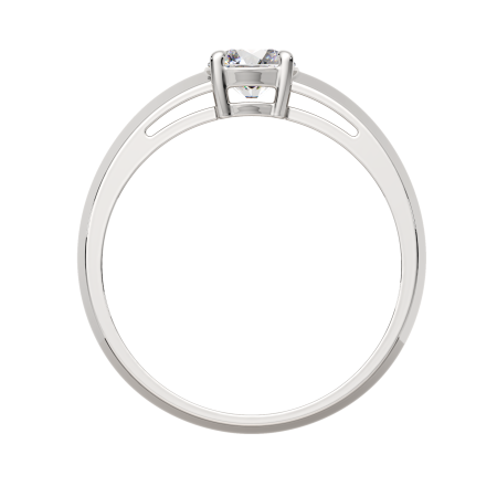 Кольцо 0210731.ZZ