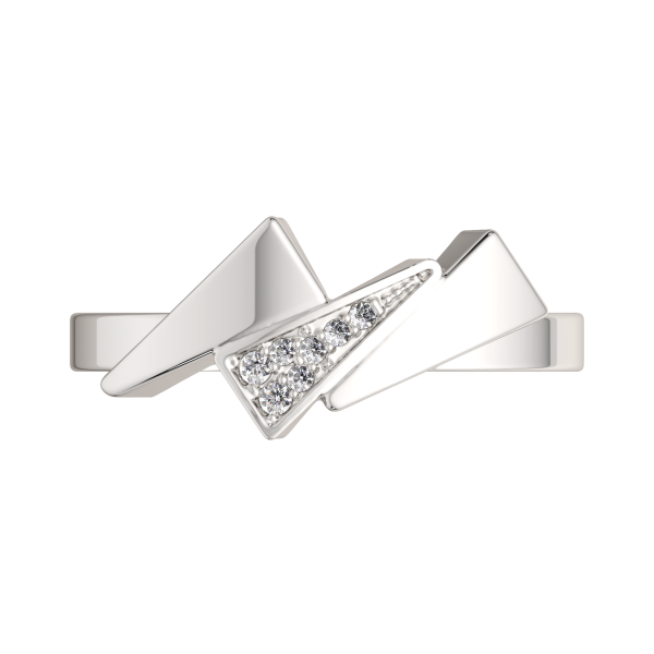 Кольцо 02101002.ZZ Кольцо 02101002.ZZ