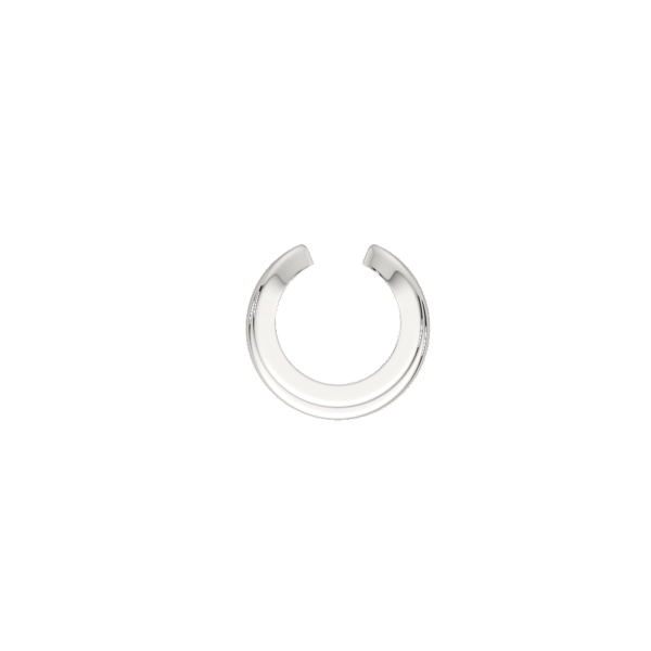 Серьга 0300242.ZZ Серьга 0300242.ZZ