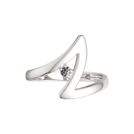 Кольцо 02101136.ZZ