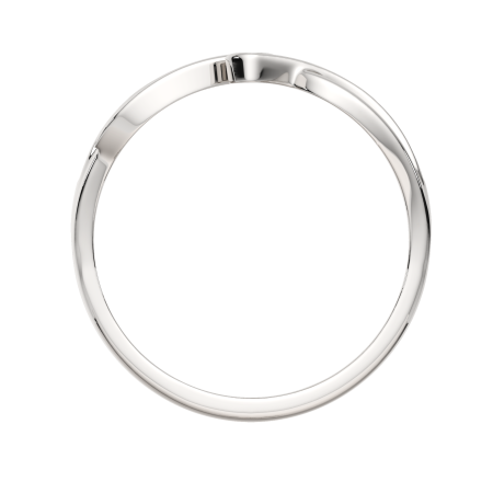 Кольцо 0210646.ZZ