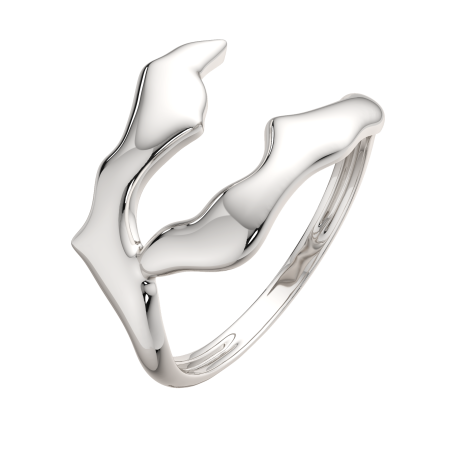 Кольцо 0200260.ZZ