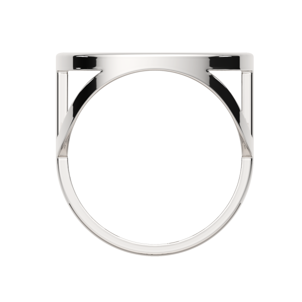 Кольцо 02101028.ZZ