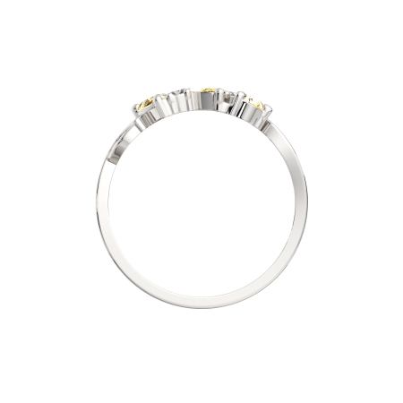 Кольцо 02S70161.ZZ