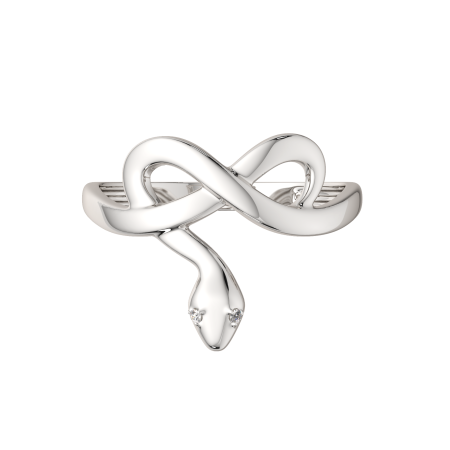 Кольцо 02101127.ZZ