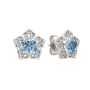 Серьги 03S4029.ZZ