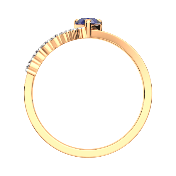 Кольцо 2D10130.14K.R.ZZ