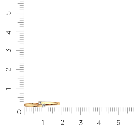 Кольцо 2101199.14K.R.ZZ