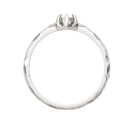 Кольцо 02D0076.ZZ