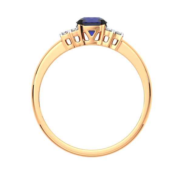 Кольцо 2D10101.14K.R.ZZ Кольцо 2D10101.14K.R.ZZ