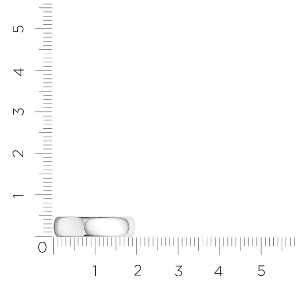 Кольцо 0105007