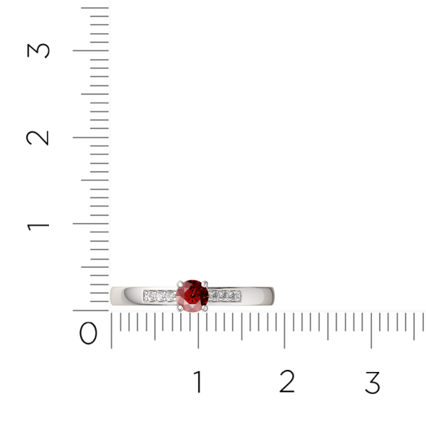 Кольцо 02S5040.ZZ