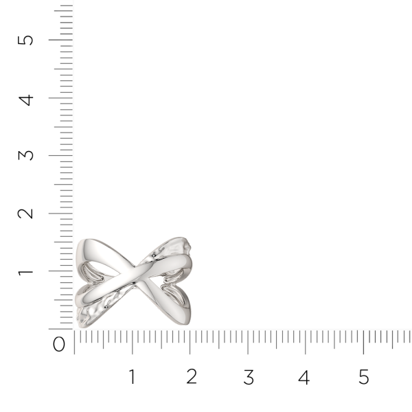 Кольцо 0200220.ZZ