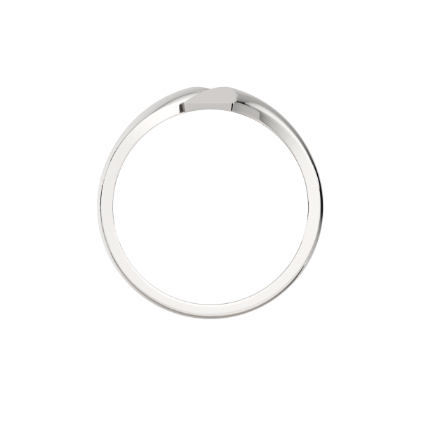 Кольцо 0200420.ZZ